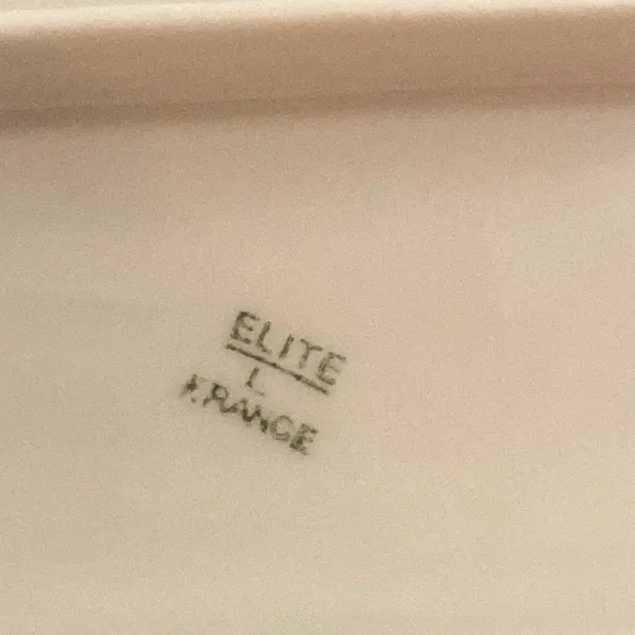 Vintage Limoges France celery platter dish